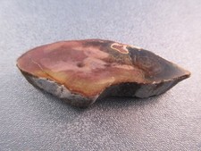 Madagascar Petrified Wood