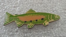 PIN S TROUT