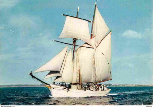 Carte postale bateaux - postale,