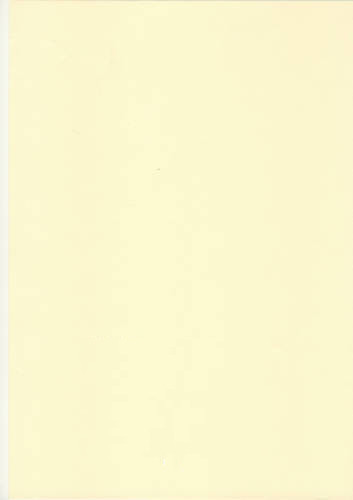 100 crème ivoire - 100, 80gsm