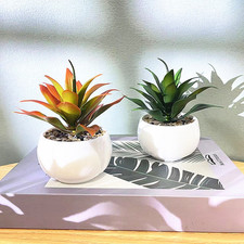 Plante succulente artificielle