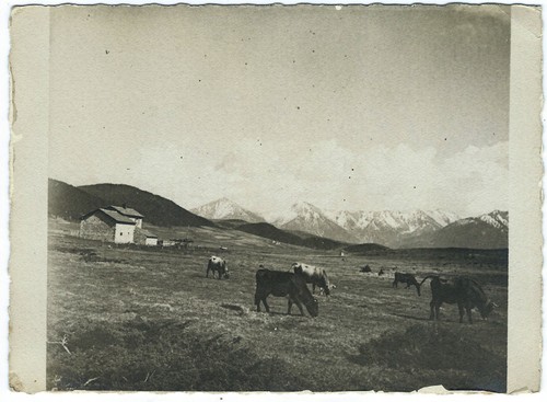 Pictorialist photo 1925