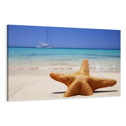 Images sur toile - , 120