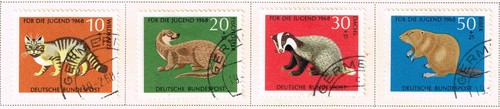 Germany fauna forest - forest, animals