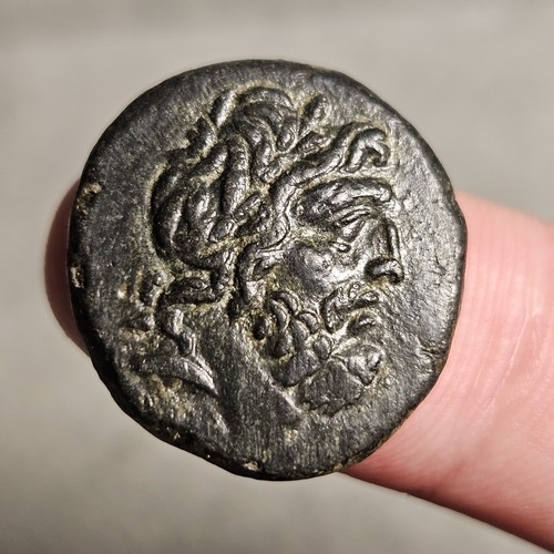 Sinope paphlagonia zeus - paphlagonia, eagle
