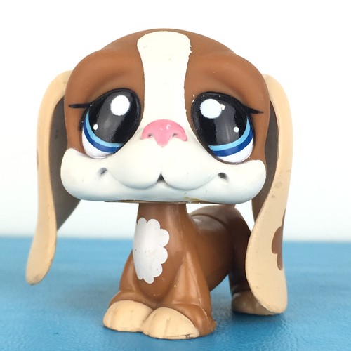 Authentic littlest pet shop - authentic,