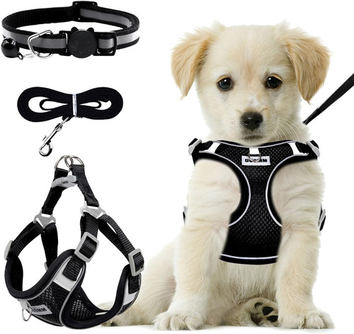 Harnais chien avec laisse - m,