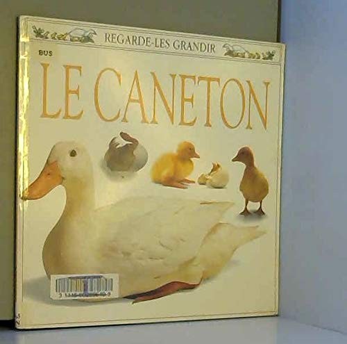 Caneton burton jane - le,