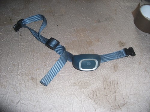 Collier anti aboiement - collier,