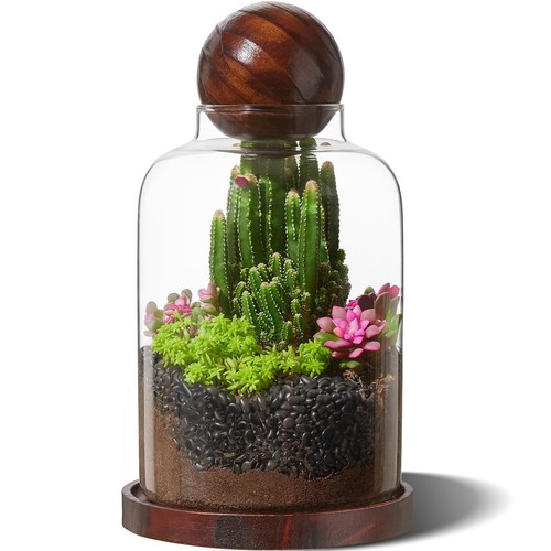 Large glass terrarium for - large,
