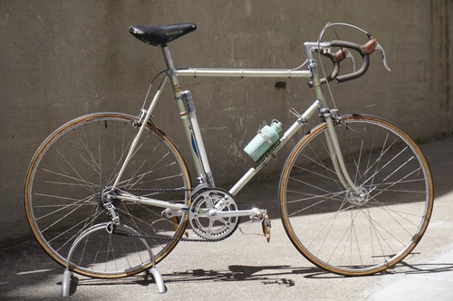 Winsdor professional 1974 - professional,