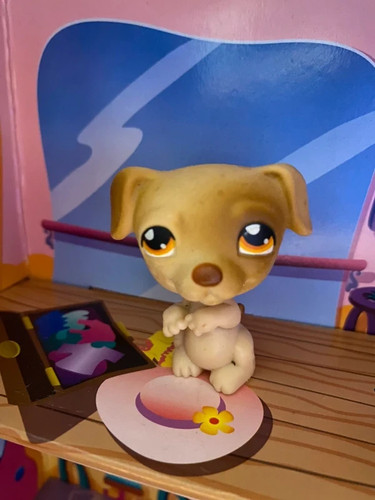 Petshop lps hasbro chiot - petshop,