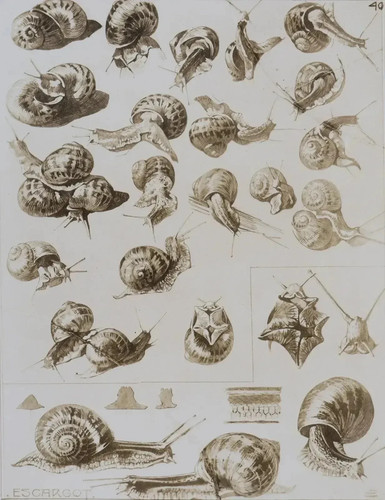 Mathurin meheut l - mathurin, l'escargot