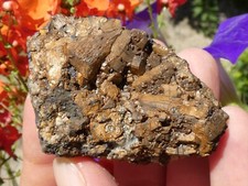 Pyrrhotite & Dolomie & Blende