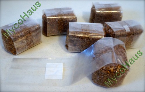 Lbs rye grain mushroom grow - 12,