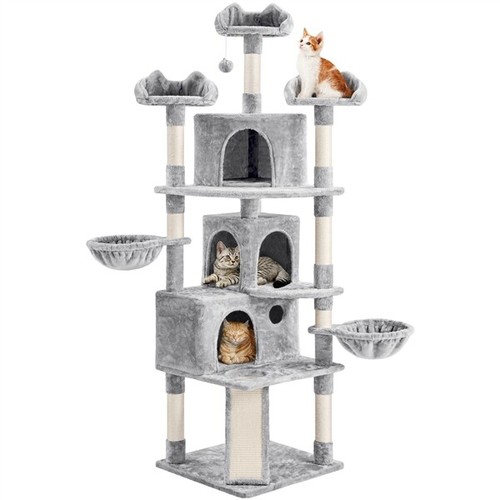 Grand arbre chat - à,