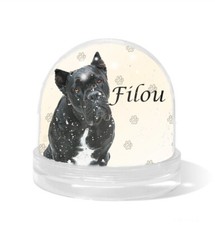 Boule à neige personnalisée