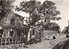 75-PARIS-LE RAPIN AGILE-N�2854-C/0179