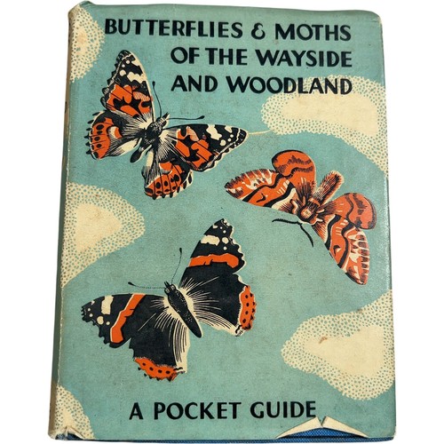 Butterflies moths of the - &,