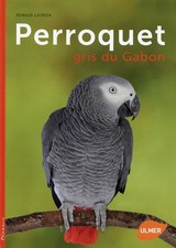 Perroquet gris du Gabon