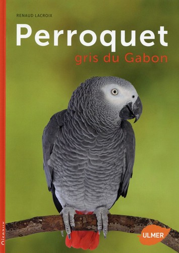 Perroquet gris gabon - du,