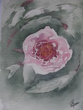 Aquarelle originale signée