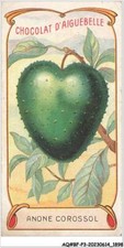 AQ#BFP3-CHROMOS-0947 - EAGLE CHOCOLATE - Anone soursop