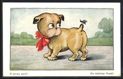 Carte postale dickly point - postale,