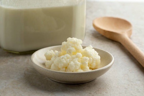 Grains kéfir lait bio - de,