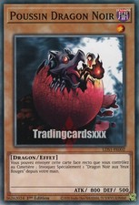 ♦Yu-Gi-Oh!♦ Poussin Dragon
