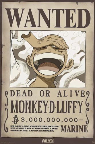 One piece anime - -,