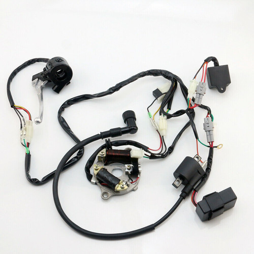 Pw50 wire wiring - wiring, harness