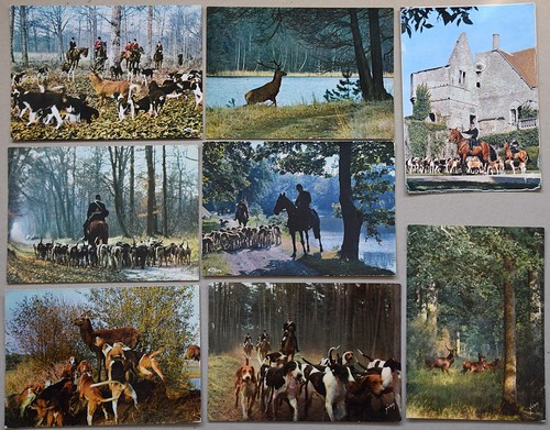 Chasse courre lot de 18 - courre,