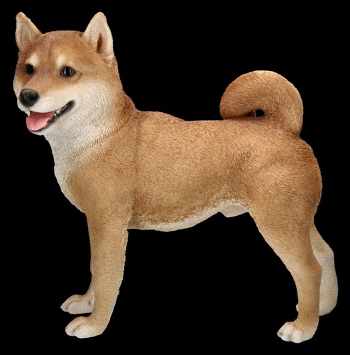 Chien figurine lebensechter - chien,