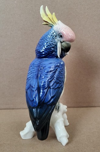 Porcelain cockatoo bird parrot - cockatoo,
