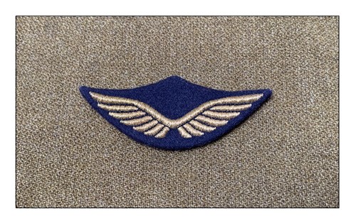 Ww2 fafl pilote - pilote, raf