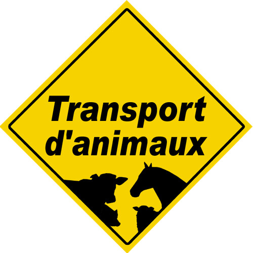 Transport animaux 15x15cm - transport,