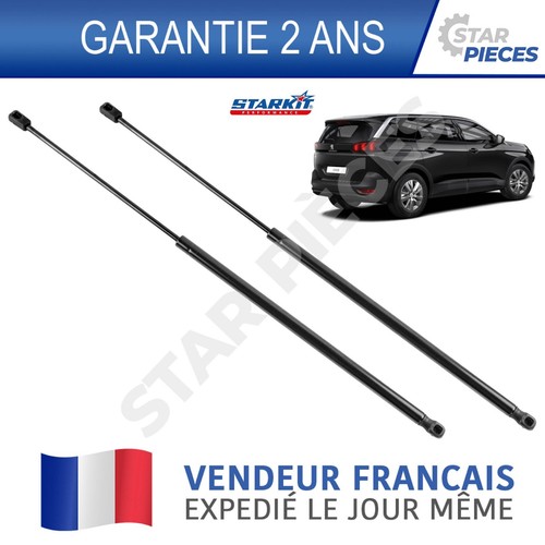 Verin coffre hayon arriere - coffre,
