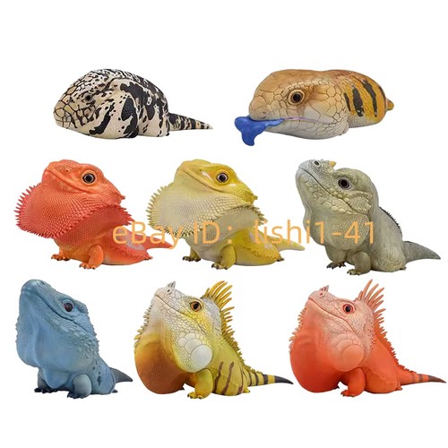 Animal planet lizards - planet,