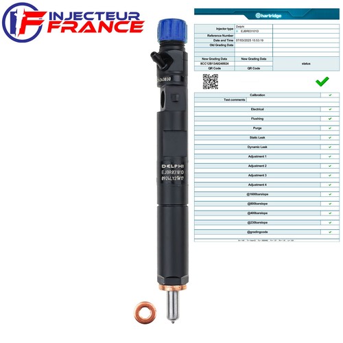 Ejbr03101d injecteur renault - ejbr03101d,