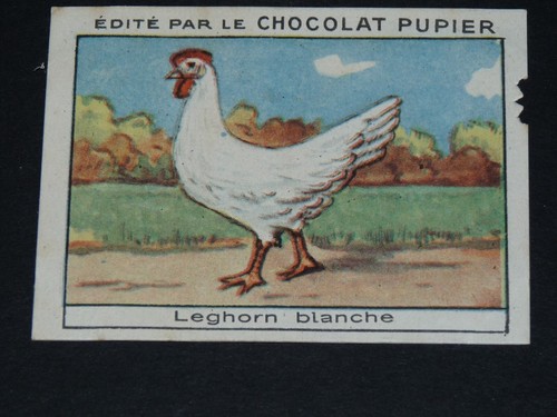Chromo chocolat pupier 1930 - chocolat,
