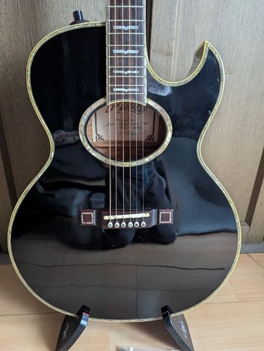 Washburn custom order - washburn,