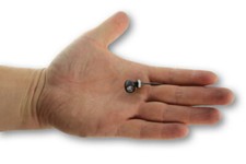 Frecce-Fanalino Triumph Bobber