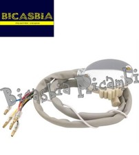 9529 - DEVIOLUCE DEVIOLUCI