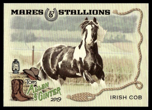 2019 topps allen ginter - 2019, &