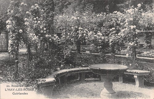 Hay les roses guirlandes - 94,