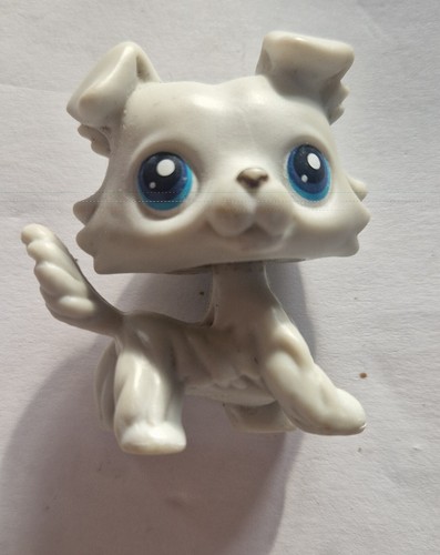 Figurine petshop colley - figurine, 363