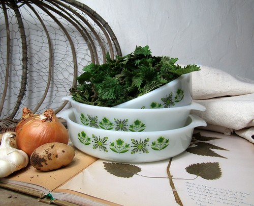 Plats arcopal gigognes - 3,