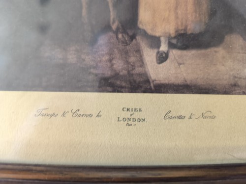 Turpy carvos lot de 6 - &,