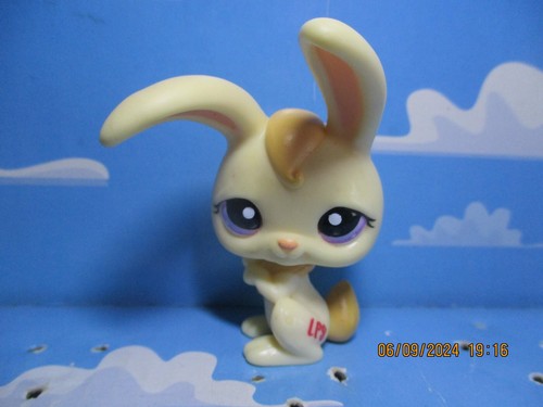 Petshop lapin garenne - petshop,